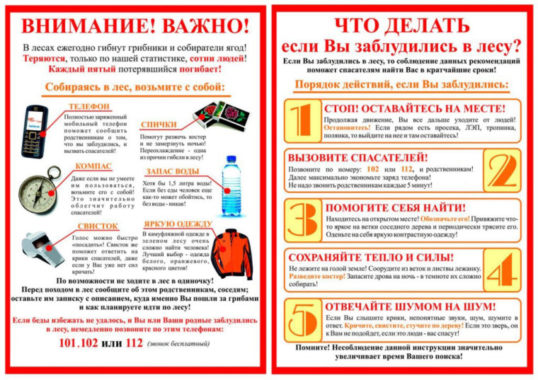 Внимание, ежегодно гибнут грибники.. Внимание, ежегодно гибнут грибники..