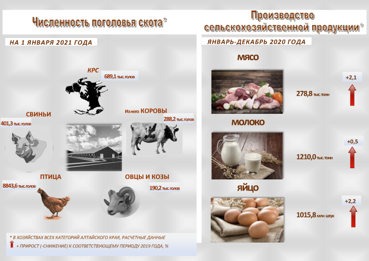 Сельское _АК_декабрь2020. Сельское _АК_декабрь2020.